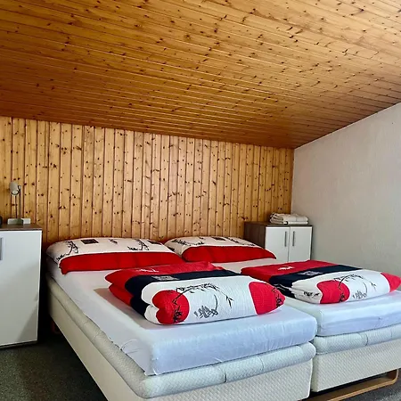 Petunia In Swiss Alps Apartment