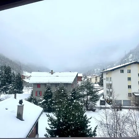 Petunia In Swiss Alps *