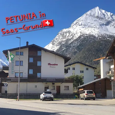 Petunia In Swiss Alps *