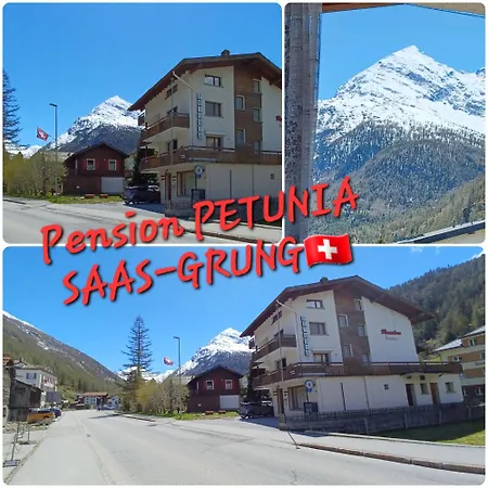 Petunia In Swiss Alps Apartment *