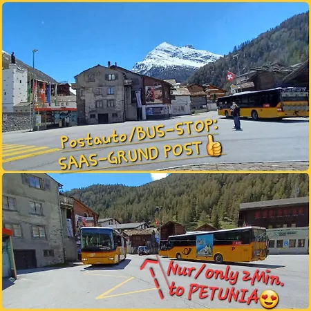 Apartment Petunia In Swiss Alps