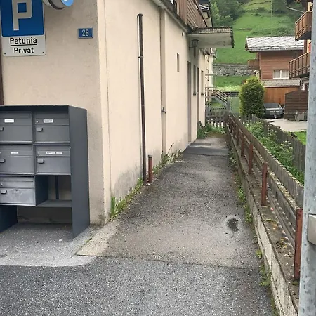 Petunia In Swiss Alps Apartment *